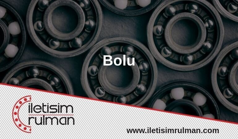 Bolu Rulman