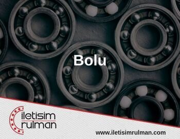 Rulman Bolu